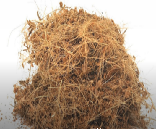 Coconut Fiber